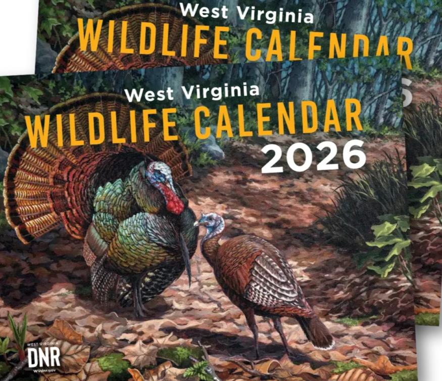 WV 2026 DNR Calendar From WV Department Of Natural Resources The wv-2026-dnr-calendar-from-wv-department-of-natural-resources-the