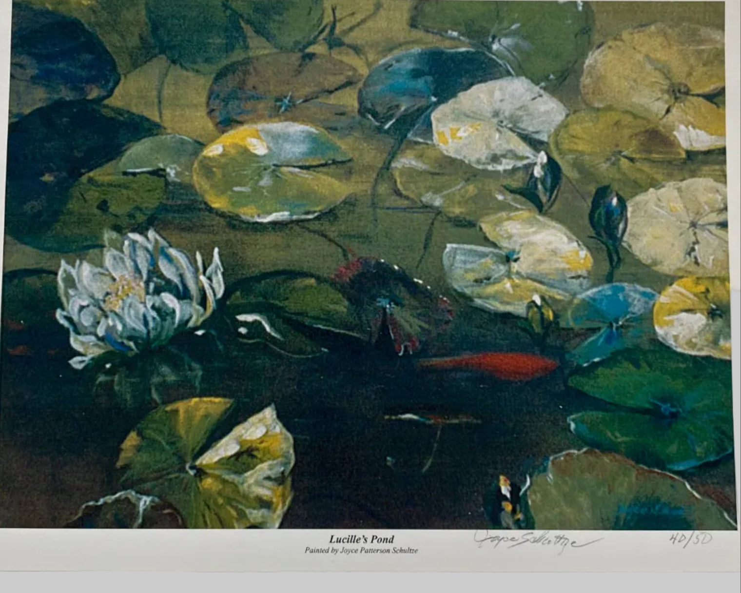 Signed Prints from Joyce Schultze