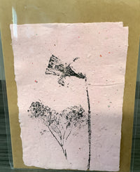 Seed Paper Notecards