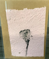 Seed Paper Notecards