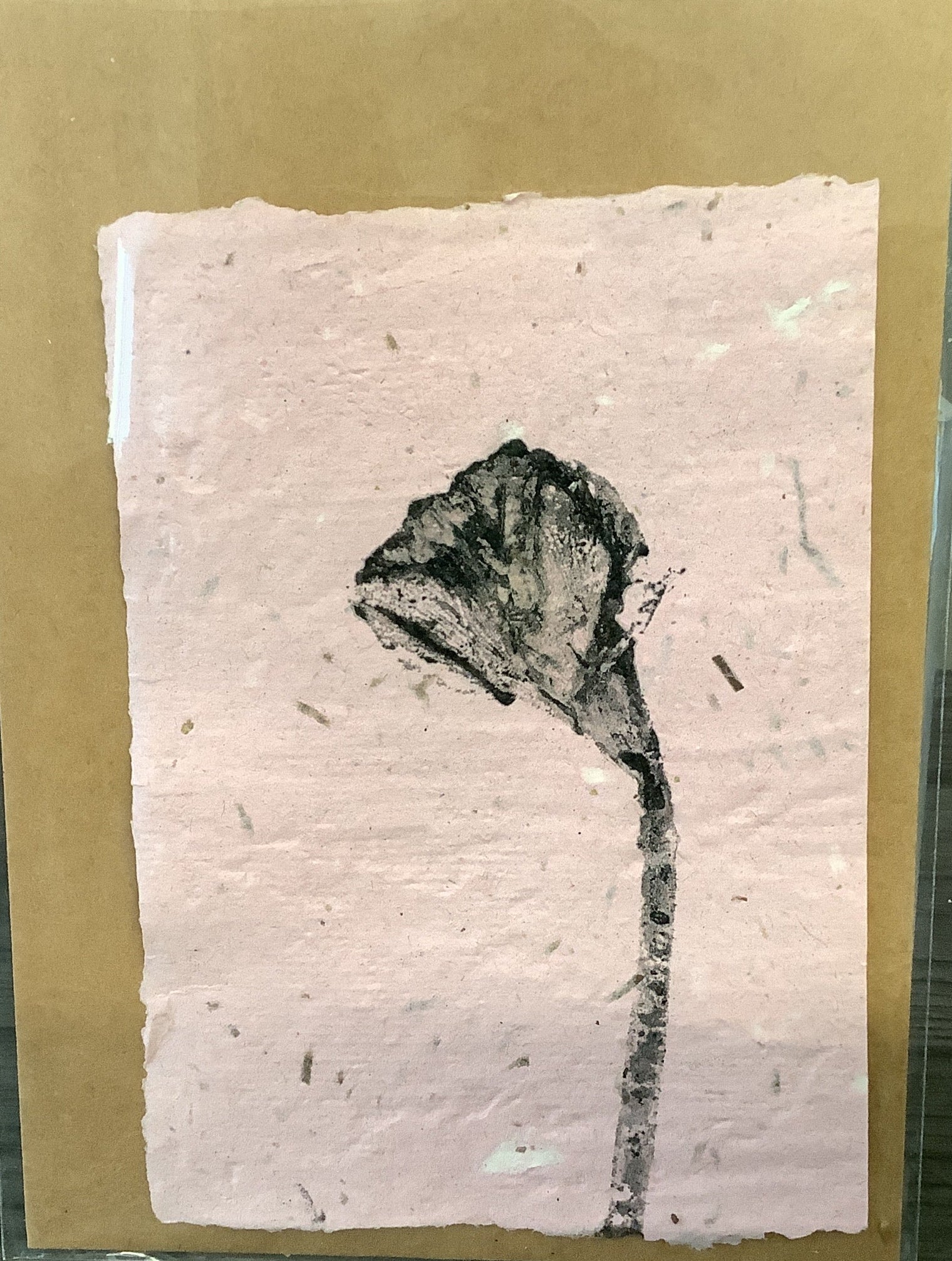 Seed Paper Notecards