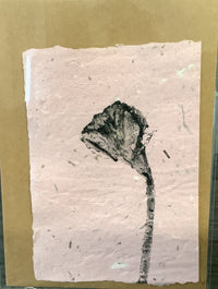 Seed Paper Notecards