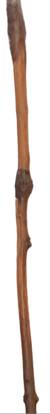 Bohemian Walking Sticks - CLOSE OUT SPECIAL