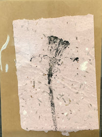 Seed Paper Notecards