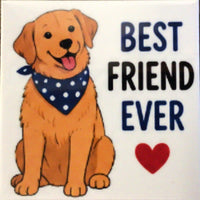 Pet-Themed Magnets