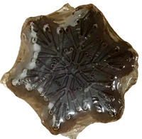 Holiday Snowflake Soap