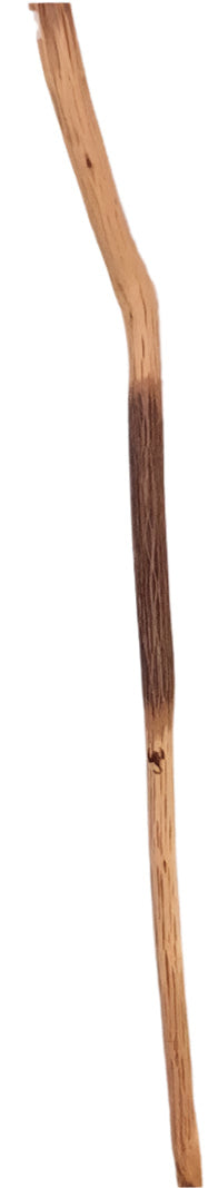 Bohemian Walking Sticks - CLOSE OUT SPECIAL