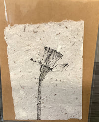 Seed Paper Notecards