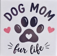 Pet-Themed Magnets