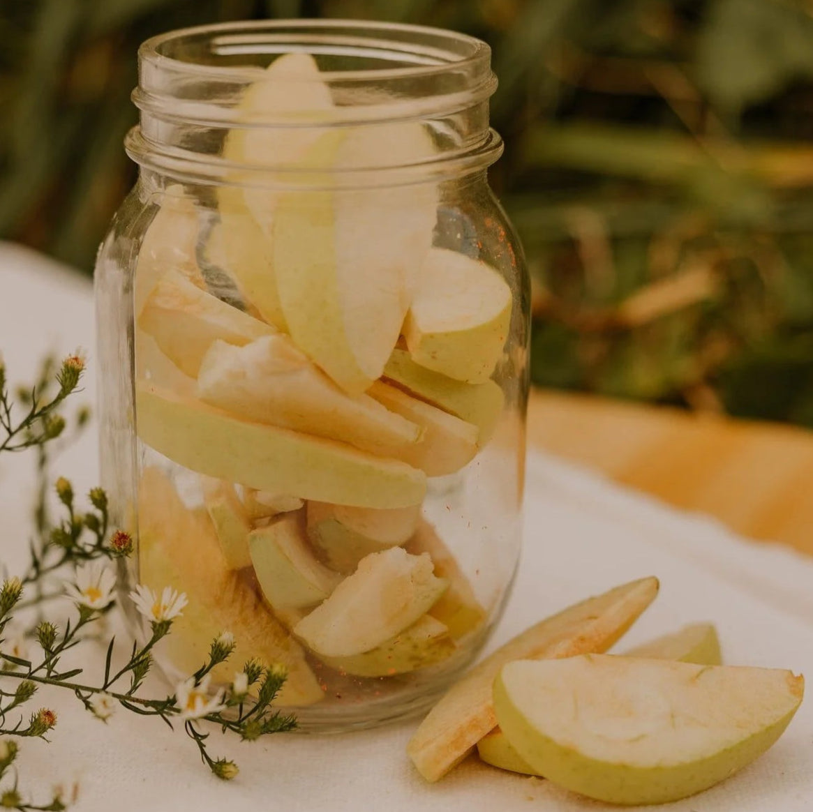 Freeze Dried Fruit