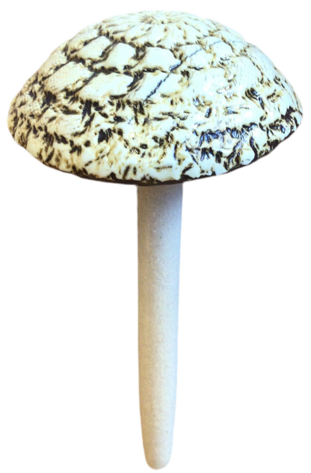 Pottery Mushrooms