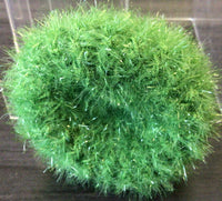 Pot Scrubbers