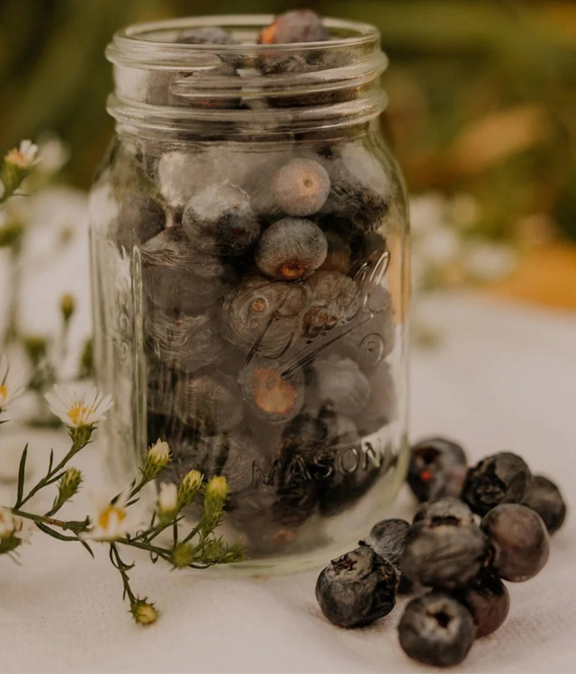 Freeze Dried Fruit