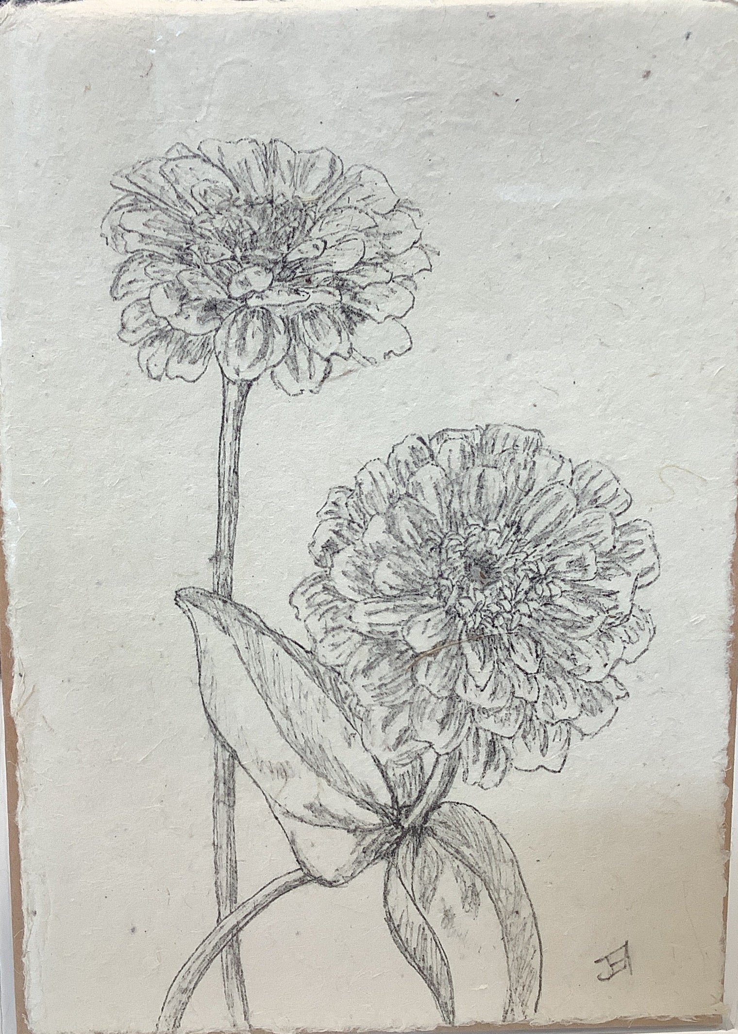 Original Art: Mailable