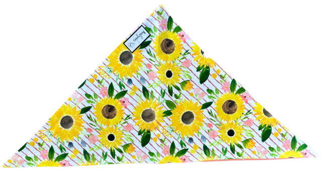 Dog Bandana (M)