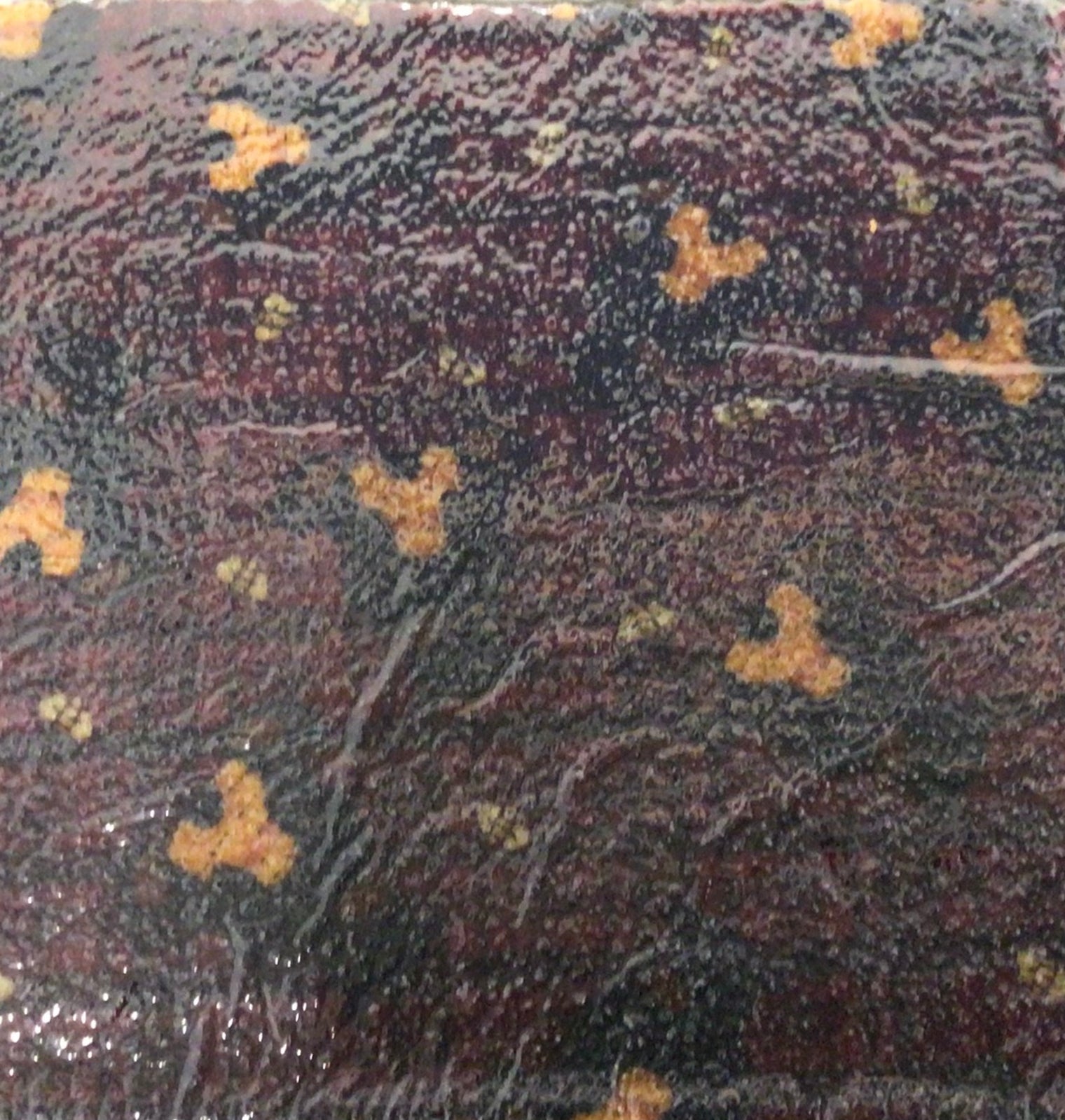 Beeswax Food Wrap