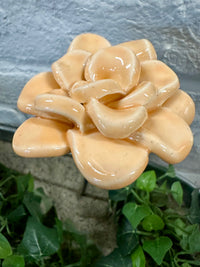 Pottery Flower