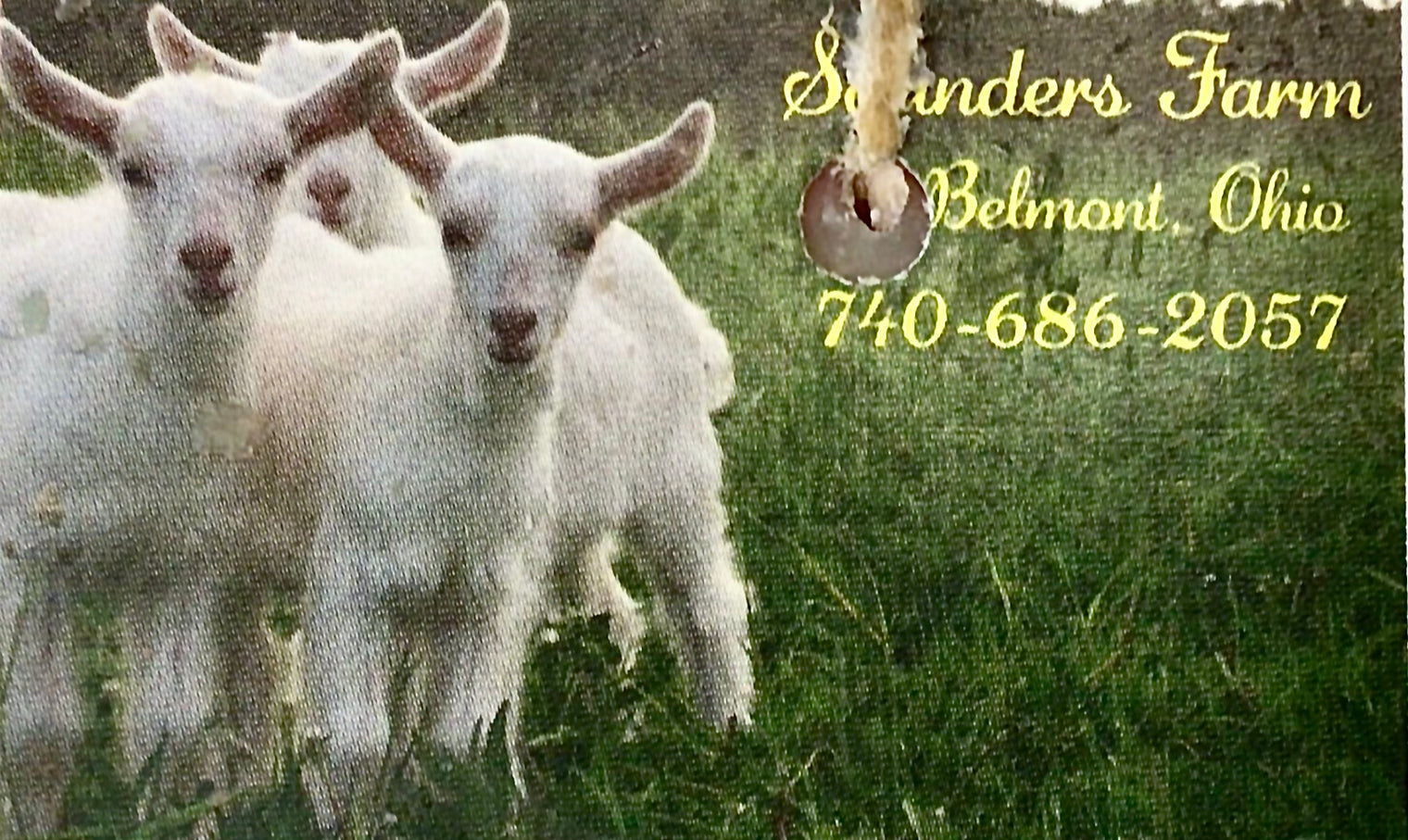 Goats Milk Soap