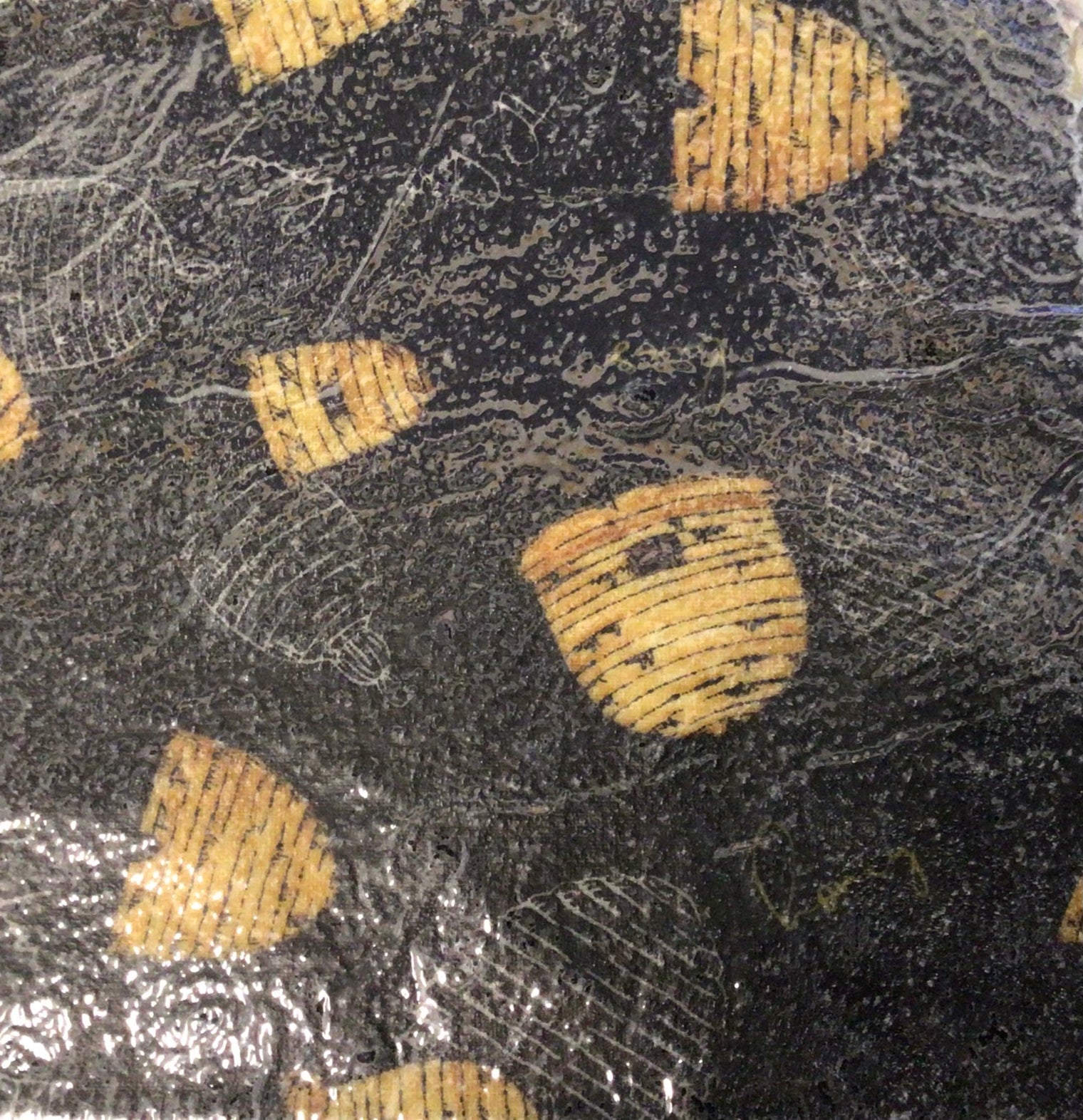 Beeswax Food Wrap