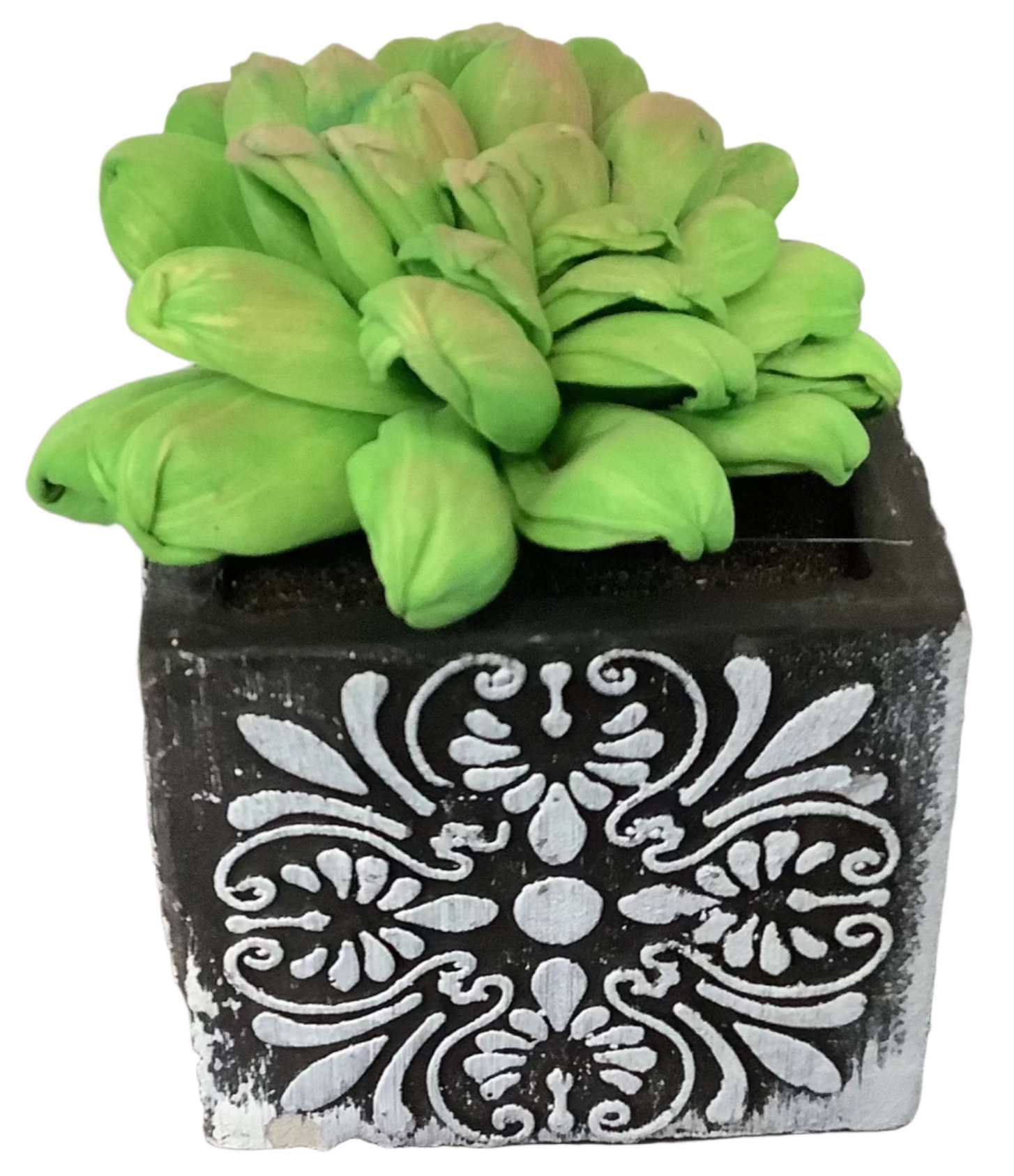 Single Wooden Succulent