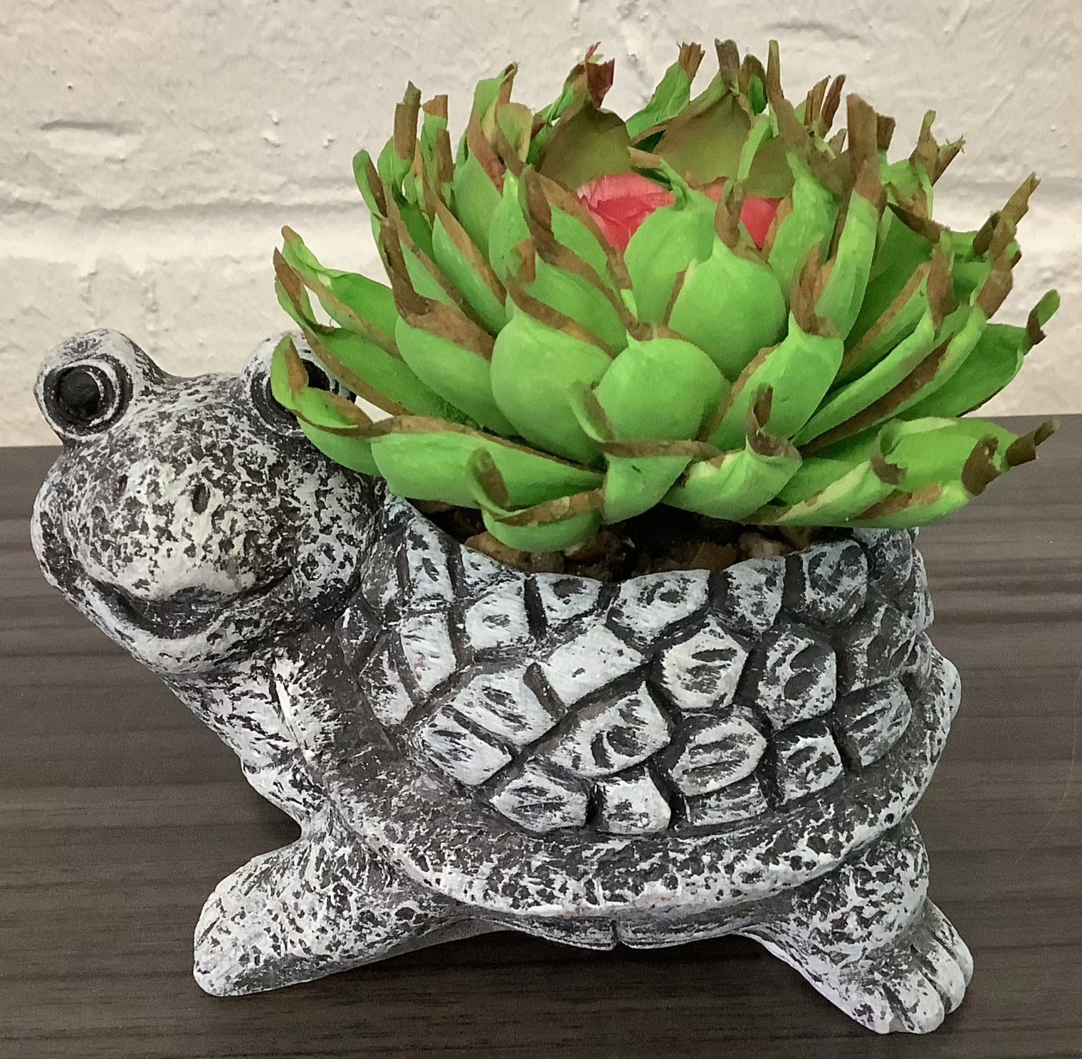 Wooden Arrangement in Turtle