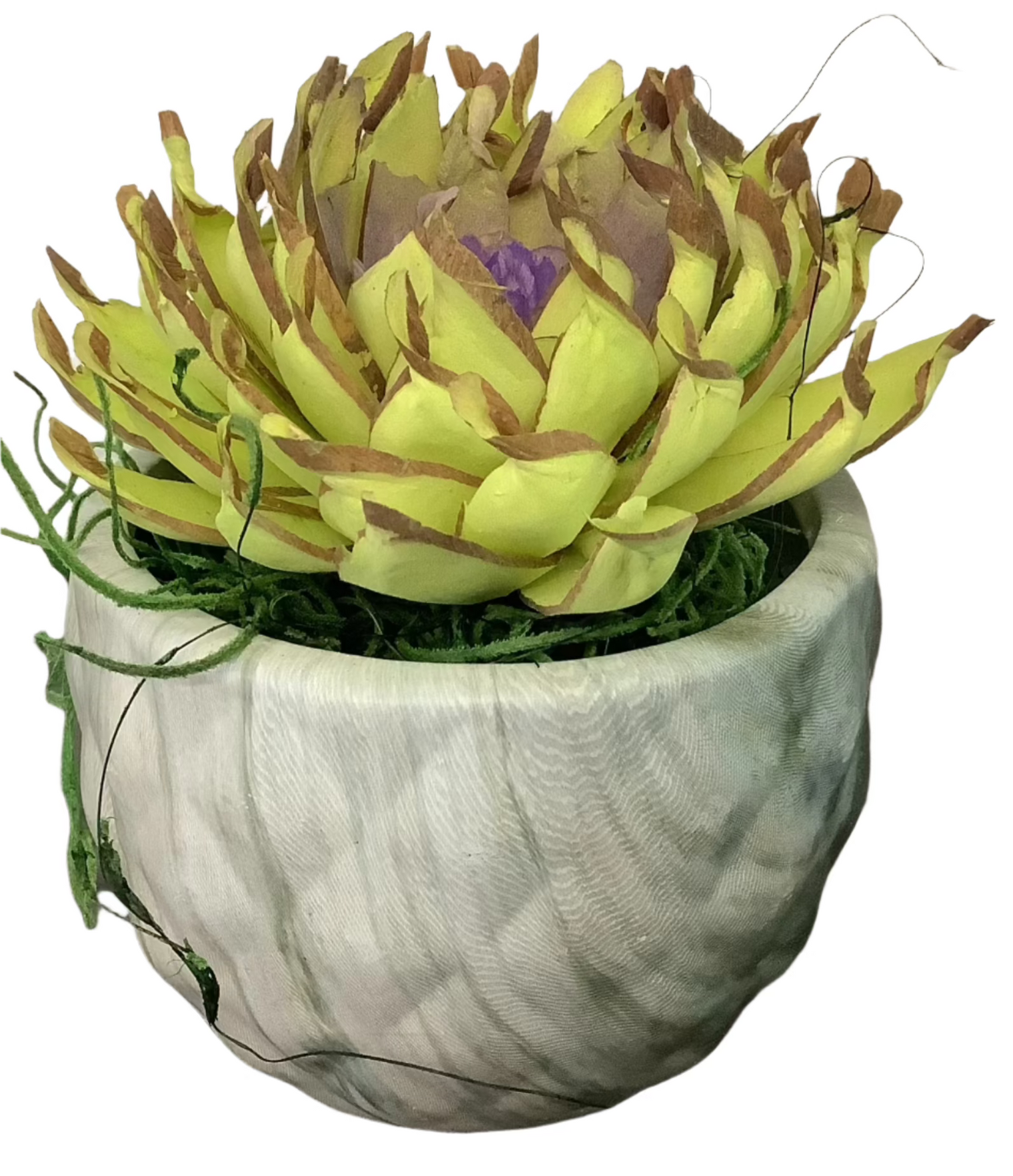 Single Wooden Succulent