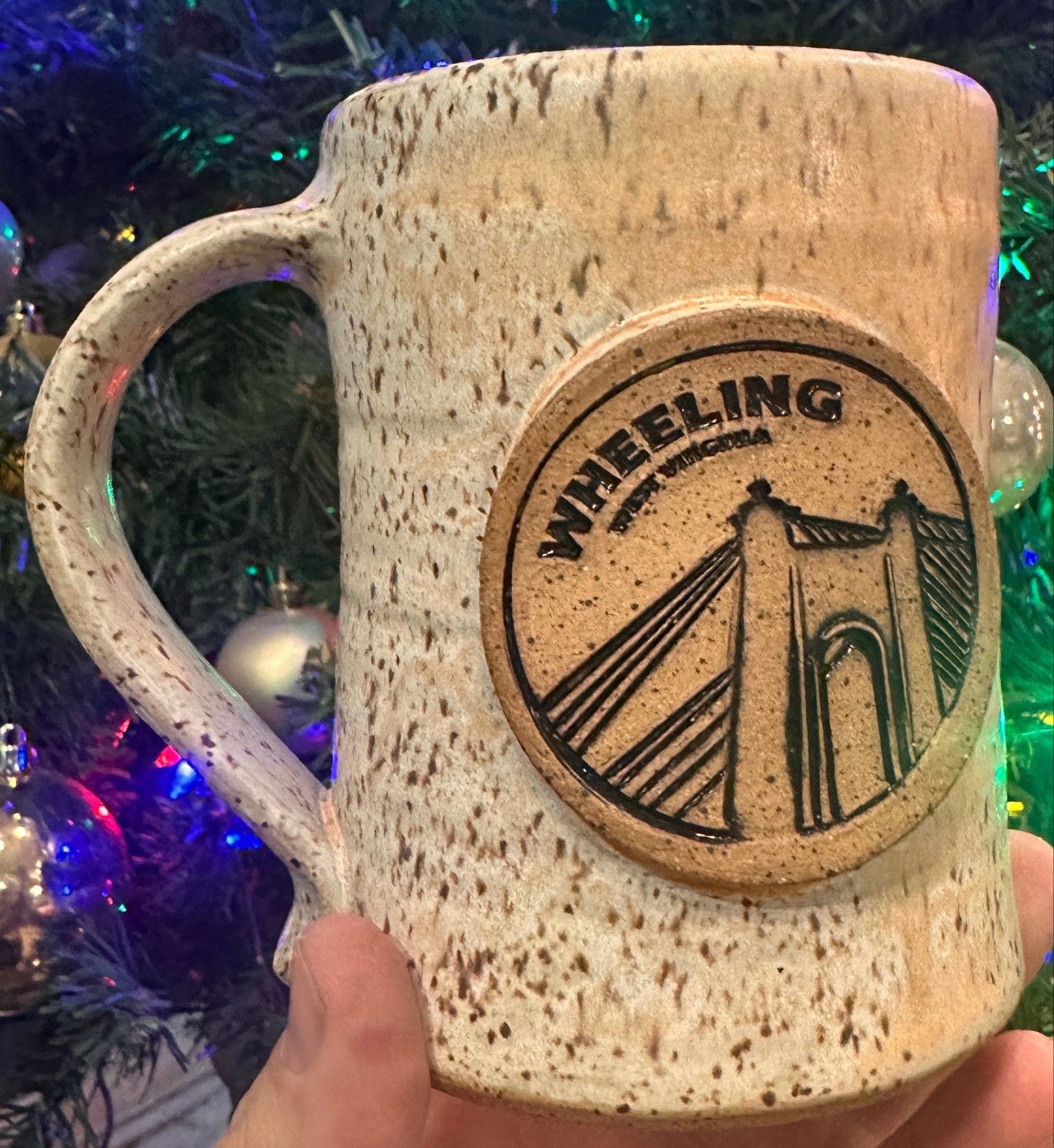 Suspension Bridge Stein