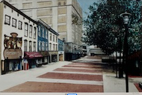 Signed Prints from Joyce Schultze