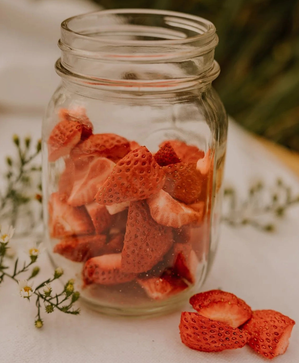 Freeze Dried Fruit