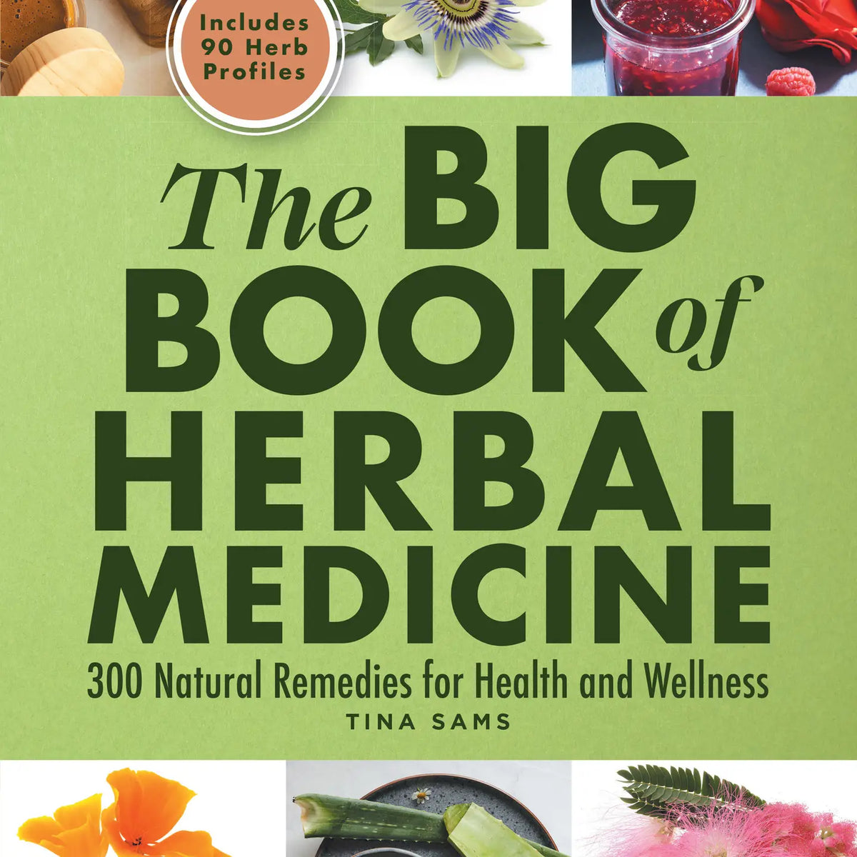 The Big Book of Herbal Medicine