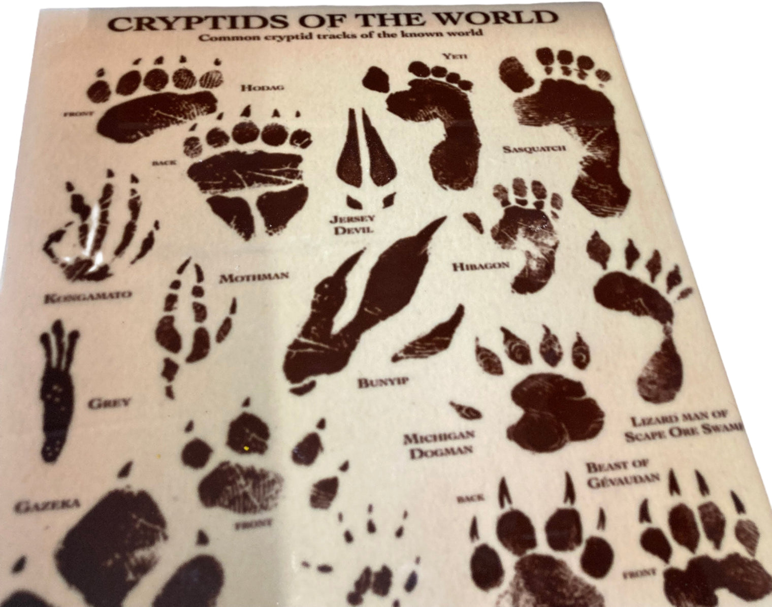 Cryptids Trivet/Plaque