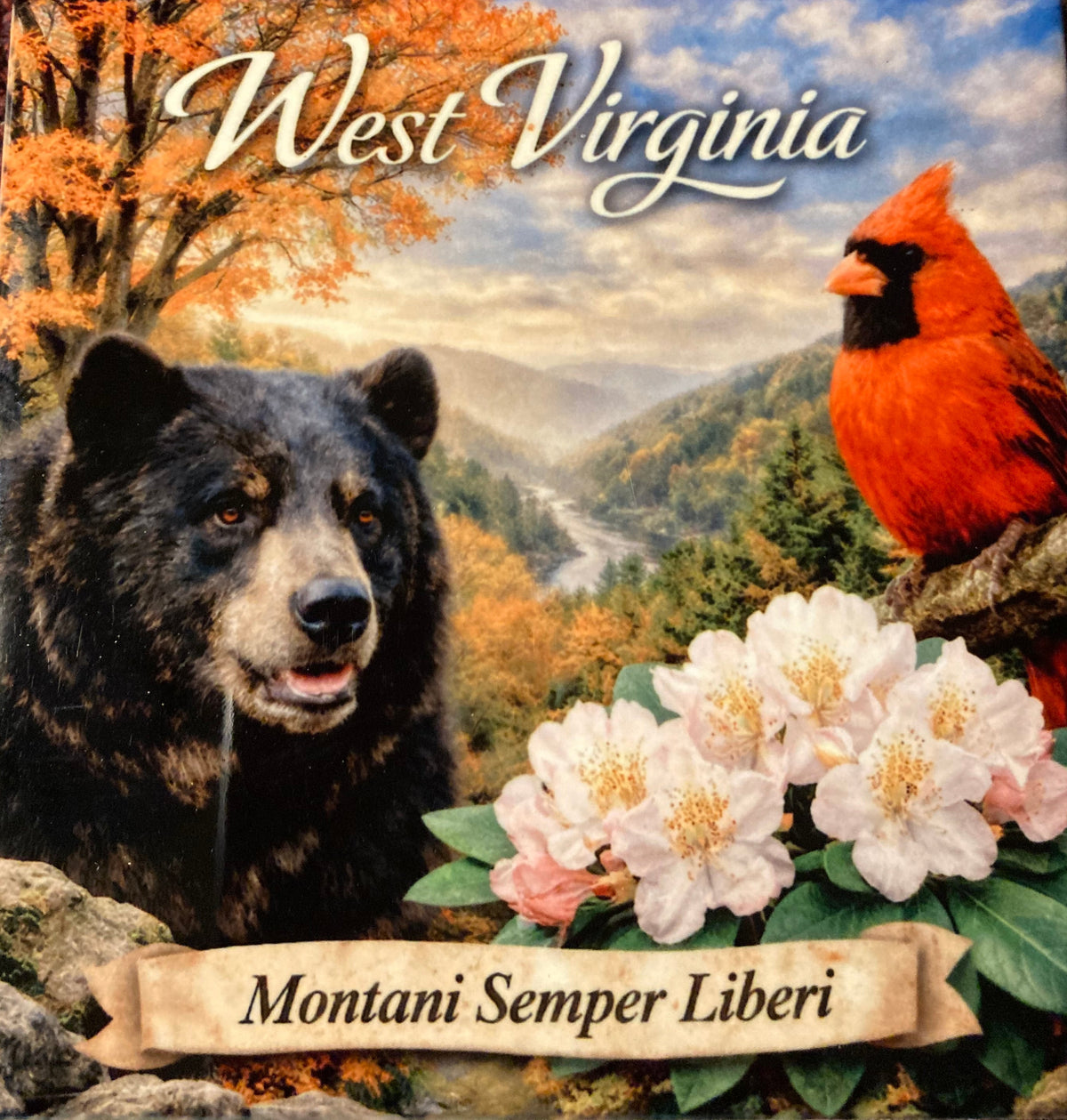 WV Coaster