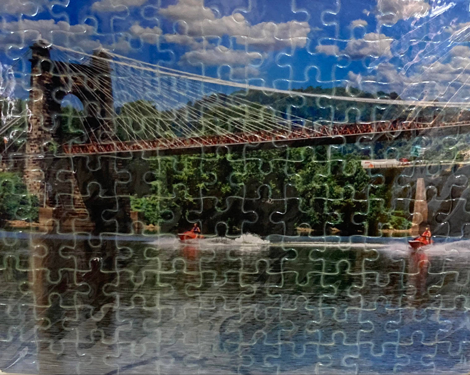 Suspension Bridge Puzzle