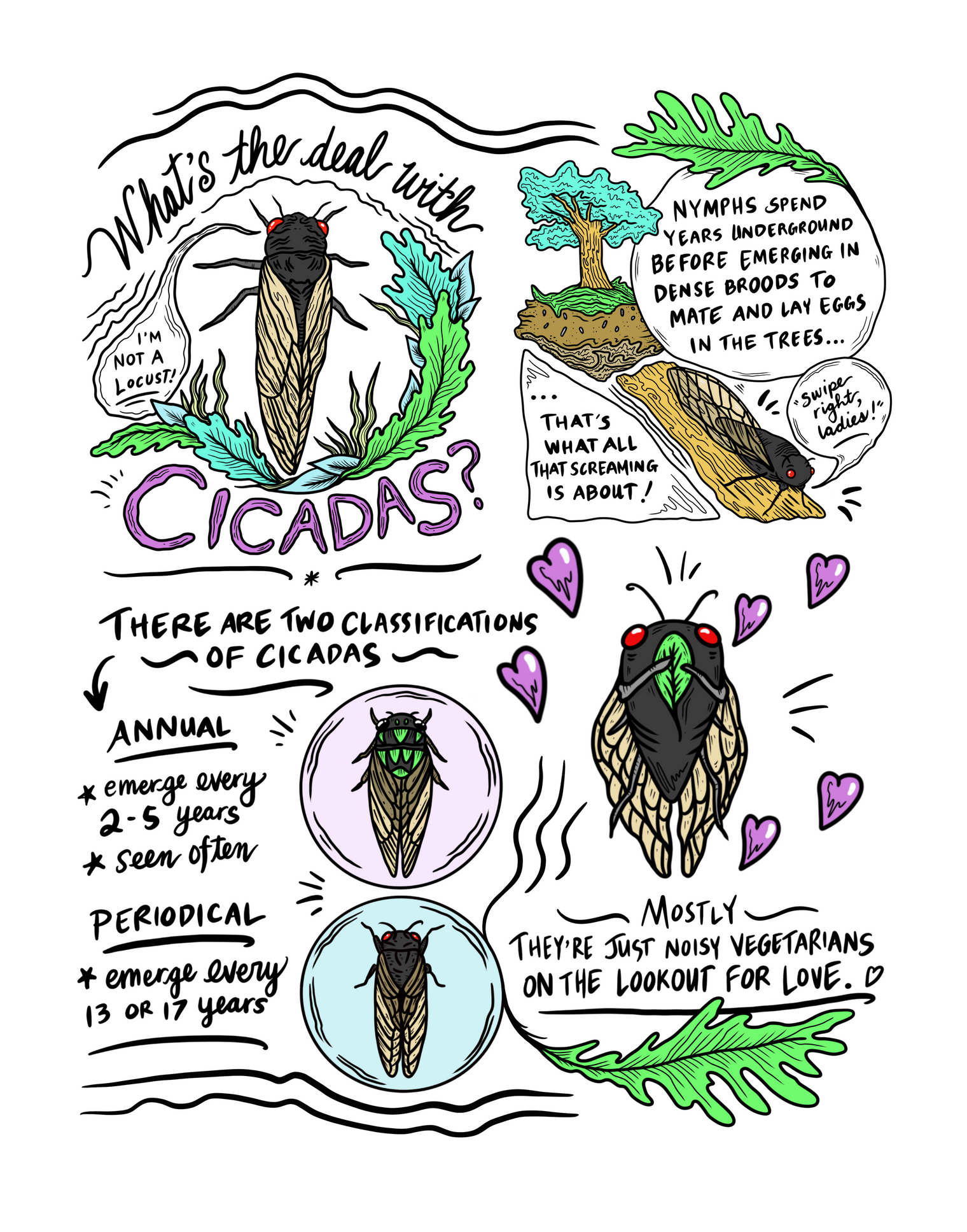 Cicada Print - 11x14