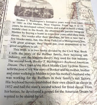 Virginia Slavery and King Salt