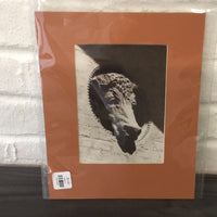 Historic Prints