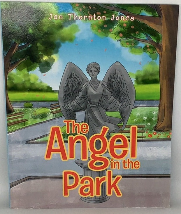 Angel in Park Paperback