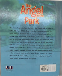 Angel in Park Paperback